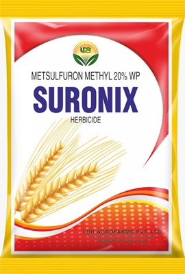 Mectin Benz